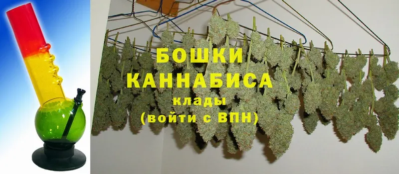 Бошки марихуана Bruce Banner  Любань 